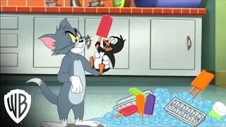 Tom And Jerry: Santa's Little Helpers | Adventures In Penguin Sitting | Warner Bros. Entertainment