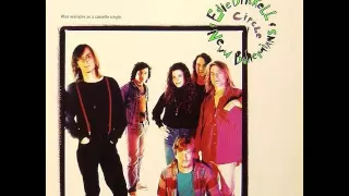 Edie Brickell & The New Bohemians - Circle