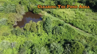 Clearing Our Pond Area After Years of Neglect