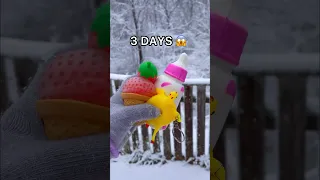 I LEFT MY FIDGETS IN THE SNOW FOR 3 DAYS! 😱🥶❄️ RIP Pop its *Extreme Dare*