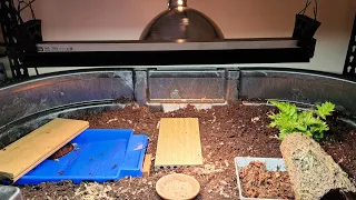 Simple Indoor Box Turtle tub enclosure.