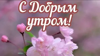 Доброе утро! Прекрасного начала дня! Очень красивая музыкальная открытка!