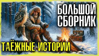 ТАЙНЫ ТАЙГИ: Таёжных Историй | Страшные Истории На Ночь