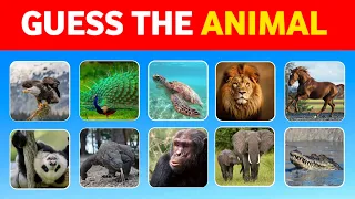 Guess 40 Animals in 5 Seconds | EASY to IMPOSSIBLE 🧠🦁