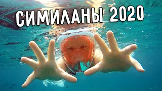 СИМИЛАНЫ 2020 🌴 НА СИМИЛАНСКИЕ ОСТРОВА С ПХУКЕТА 🚢