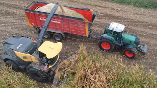 Oude Lashof chopping corn