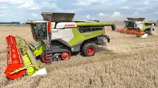 Getreideernte - Weizenernte Claas Mähdrescher & Traktor Hohen Luckow Combine Harvester Wheat Harvest