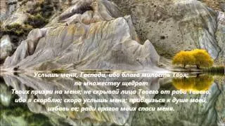 Псалом 68_Спаси меня, Боже, ибо воды дошли до души моей.