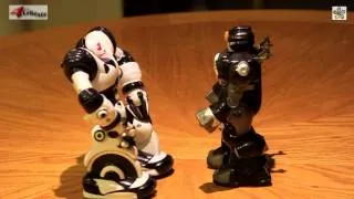 WOWWEE MINI ROBOSAPIEN -vs- HAP-E-KID ROBOT