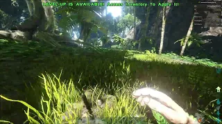 ARK: Survival Evolved | RTX 4070  | Ryzen 5 7600x | 1080p | Epic & Low Settings