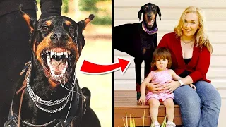 Esta Familia Adopto Un DOBERMAN Pero Luego De 5 Días Escucharon Un Fuerte Grito