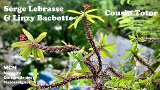 Serge Lebrasse & Linzy Bacbotte - Cousin Totor