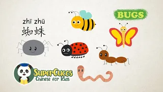 学中文-虫子/昆虫 | Learn Chinese for kids - 9 Bugs/Insects | Aprender Chino - Los Bichos/ Los Insectos
