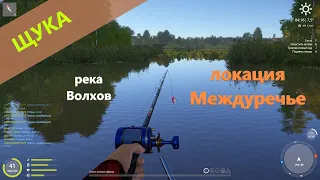 Русская рыбалка 4 - река Волхов - Щука, протока, джерки...