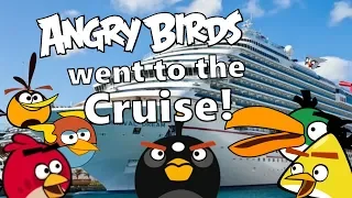 Angry Birds went to the Cruise!