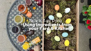 Natural Egg Dying