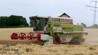 4K Weizen Ernte 2023 mit dem CLAAS Mega Dominator 204 Getreideernte 2023 Grain harvest 2023