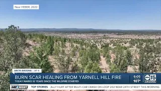 Burn scar healing from Yarnell Hill Fire