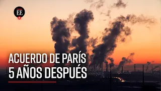 Acuerdo de París, 5 años de poco avance en el pacto por el cambio climático - El Espectador