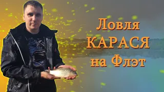 ЛОВЛЯ КАРАСЯ НА ФЛЭТ ФИДЕР осенью