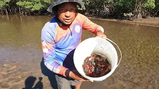 AS ISCAS DO MANGUEZAL SÃO EXCELENTE PESCARIA DE COSTEIRA OU COSTÃO GUARAPARI ES PESCARIA.