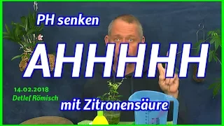 Das musst du wissen PH Wert senken mit Zitronensäure funktioniert, aber nur für kurze Zeit