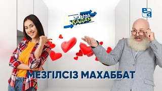 Мезгілсіз махаббат. «Жаңа қадам»