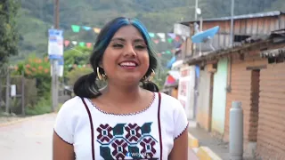 Mi linda jovencita - Jicayán de Tovar | Willy Paz