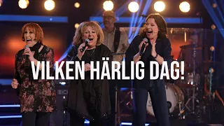 Ewa, Eva & lotta - Vilken härlig dag - Live BingoLotto 21/3 2021