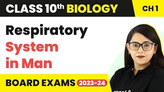Respiratory System in Man (Parts and Respiration in Humans - 1) | Class 10 Biology