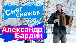 ❄️ГАРМОНИСТУ НИПОЧЁМ МОРОЗ!🥶  Александр Бардин - СНЕГ СНЕЖОК