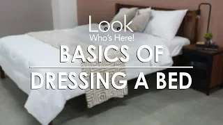 Basics of Dressing A Bed | MF Home TV