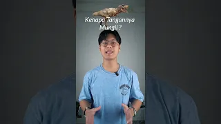 Kenapa tangan T Rex kecil