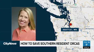 How To Save Southern Resident Orcas