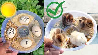 How to hatch eggs at home without incubator - incubator plastic box help sunlight 100% result part-3