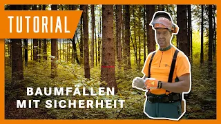 Fällung eines Baumes mit der Sicherheitsfälltechnik | Tutorial der Bayerischen Staatsforsten