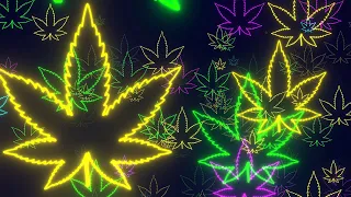 Neon Lights Cannabis Leaf Logo Flying Forward 4K Free Colorful Motion Background