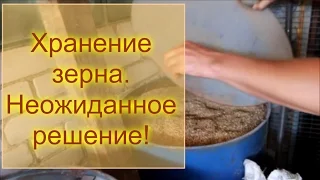 Хранение зерна. Неожиданное решение!