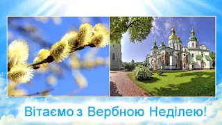 Привітання з Вербною Неділею 2024