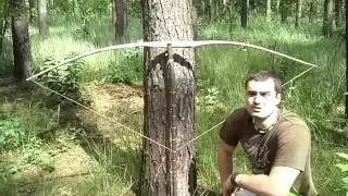 Łuk z gałęzi Robinii Akacjowej ( nowy projekt ) How To Make A Bow