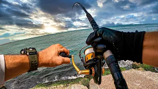 fishing for MONSTERS of the deep from the jetties