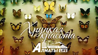 Almaty life | Как выглядит «хрупкая красота»?