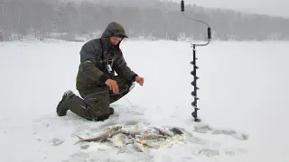 ОНИ НЕ ЛЕЗУТ В ЛУНКУ!!! ПОПАЛ НА ЖОР ПЕРВОГО ЛЬДА!!! ЗИМНЯЯ РЫБАЛКА