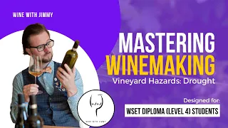 WSET Level 4 (WSET Diploma) Mastering Vineyard Hazards - Drought