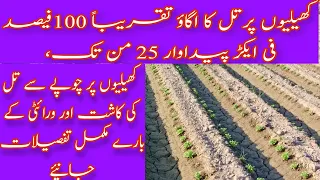 Till k Kheliyon Pr Kasht or Germination k Bare Janye|تل کی کھیلیوں پر کاشت اگاؤ سو فیصد تفصیل جانئیے