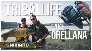 Carp Fishing at Lake Orellana, Spain | Tribal Life | Power Aero XTC