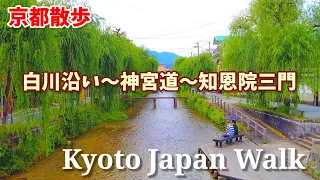 5/26(金)京都散策～柳並木の白川から知恩院～【4K】Kyoto Shirakawa river ～Chion-in temple walk!