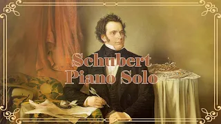 Schubert : Piano Solo Vadim Chaimovich ( Classical music )