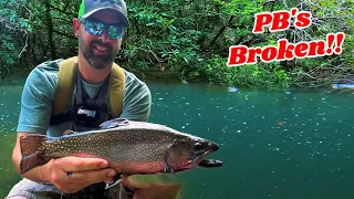 Amazing Creek Fishing! CAMP and COOK!