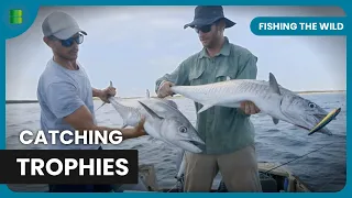 Trophy Fish of Cape Wessel! - Fishing The Wild - Nature Documentary